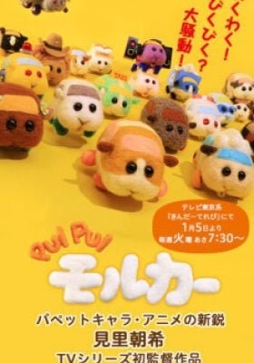 PUI PUI MOLCAR