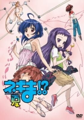 Negima!? Magister Negi Magi: Summer