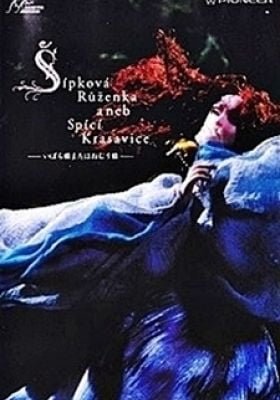 Briar-Rose or The Sleeping Beauty