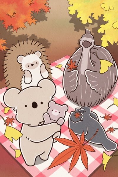 Koala's Diary